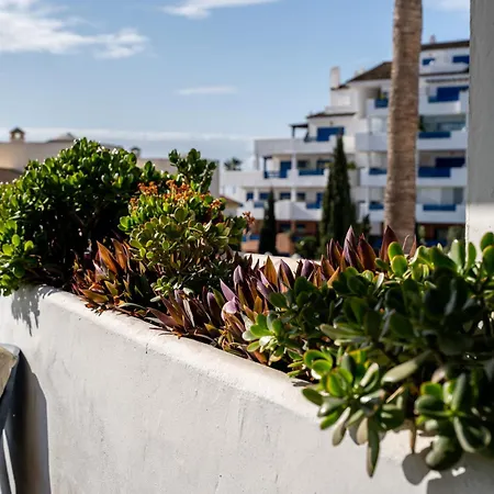 Apartment Sea View With Great Terrace And 4 Pools - Duquesa 308